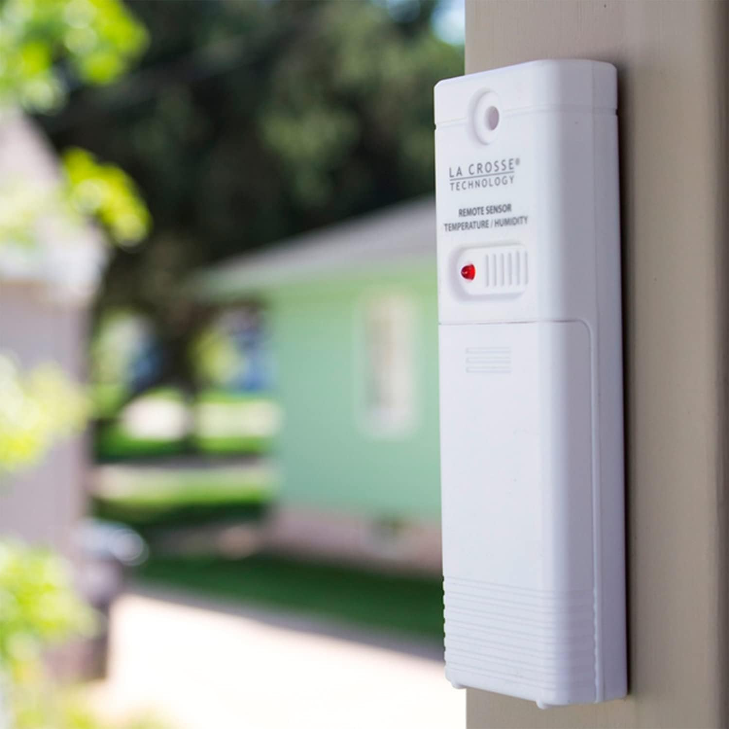 TX141TH-BV2 Wireless Temperature & Humidity Sensor