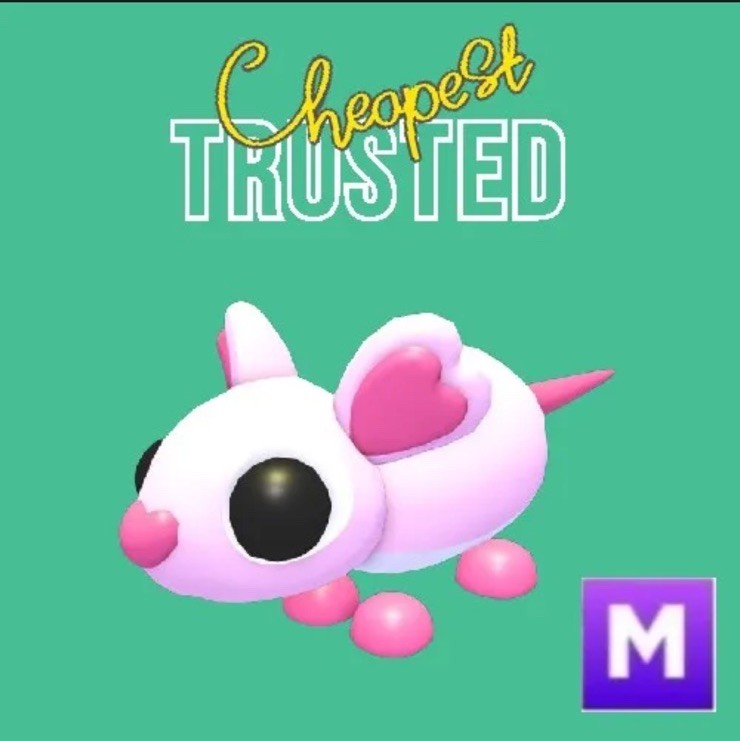 Mega Sweet Rat- Adopt Your Pet From Me Today!
