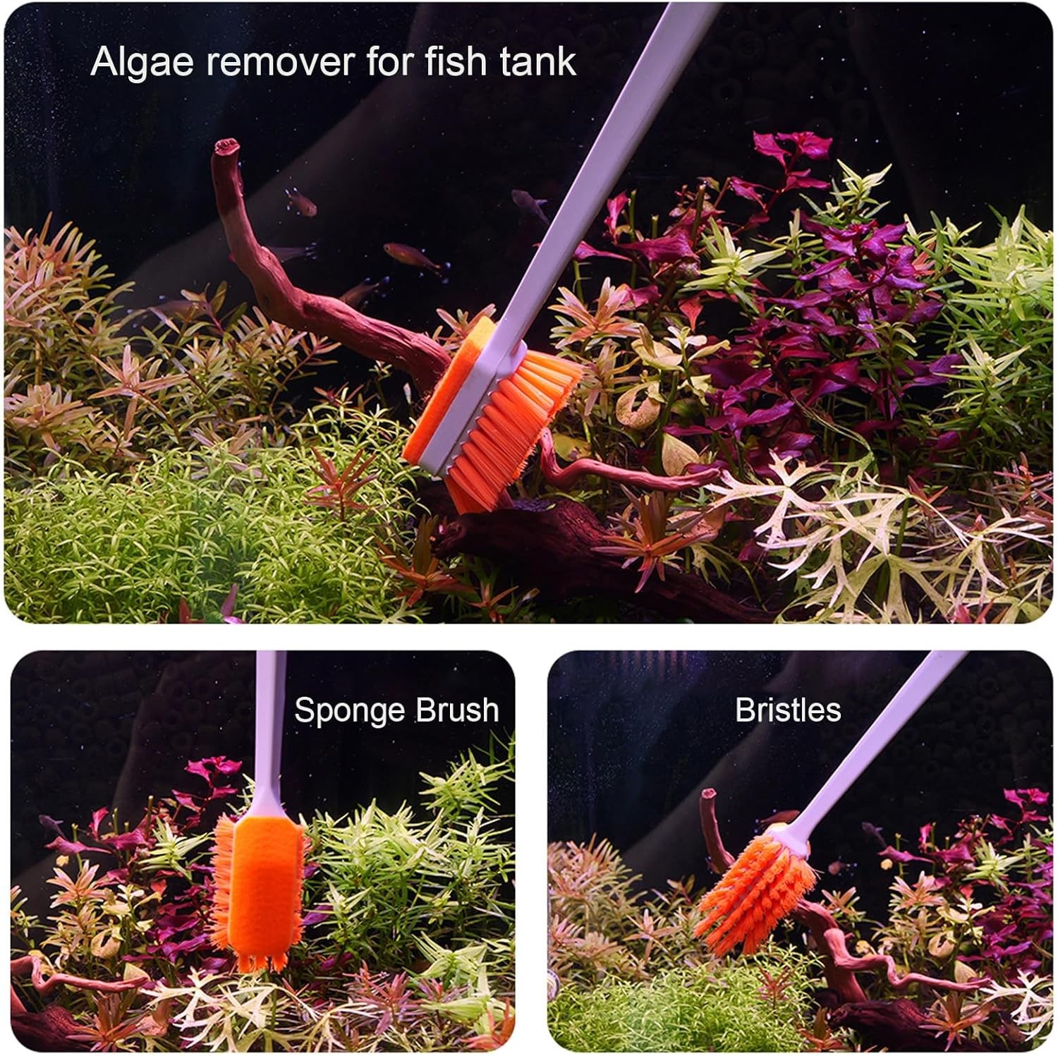 Small Fish Tank Cleaner - Algae Scraper for Glass Aquariums - 11.8 Inch
