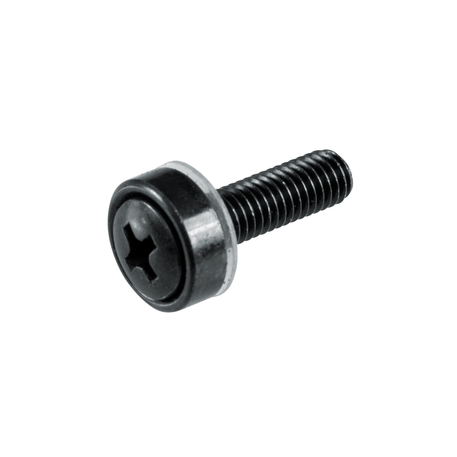 Gator Cases GRW-SCRW025 Hardware Rack Screws (25 pack) 2-Pack