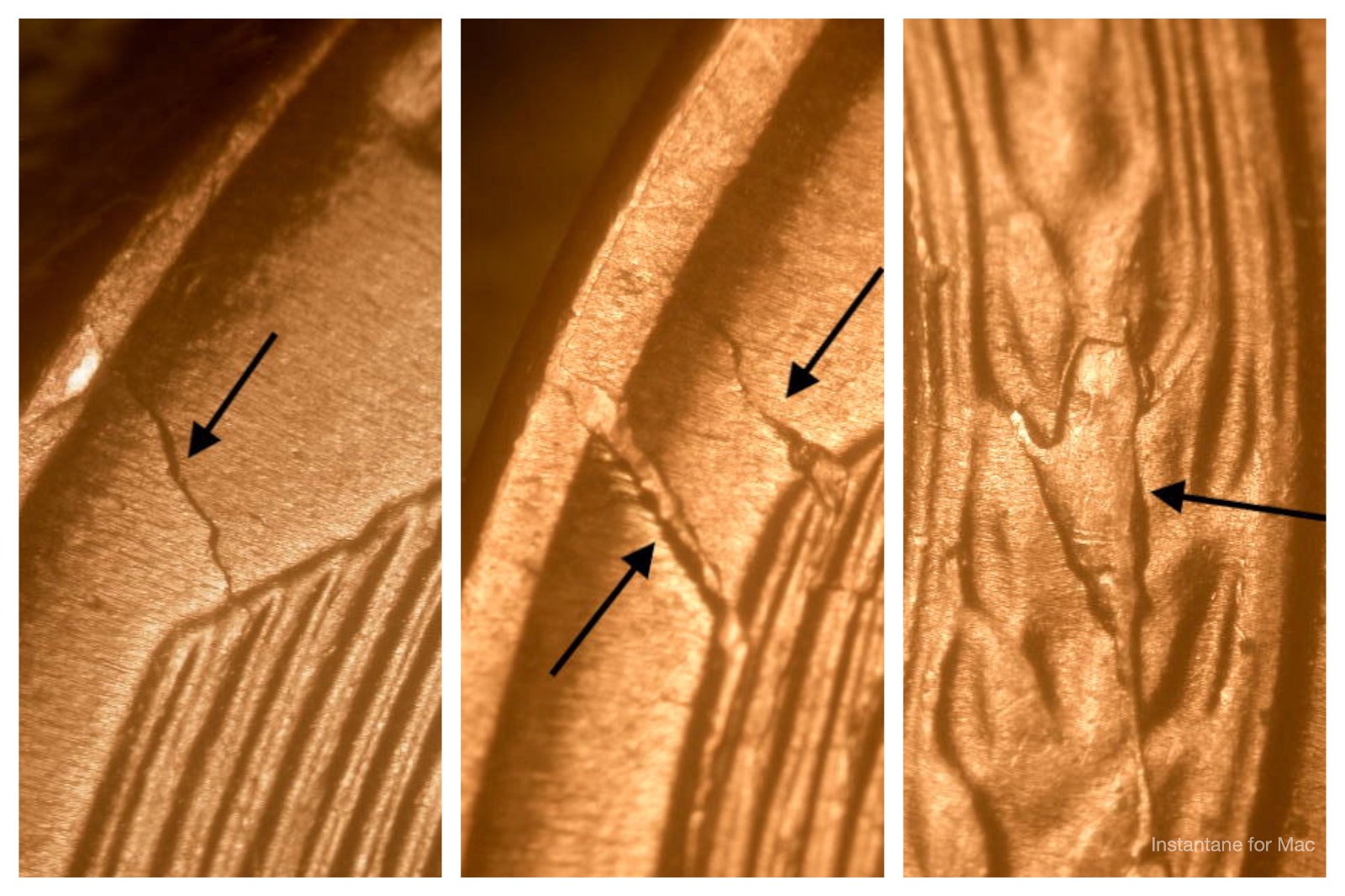 3 Different 1955-S Ch/Gem BU Red Uncirculated Lincoln Cent Die Break Errors#10