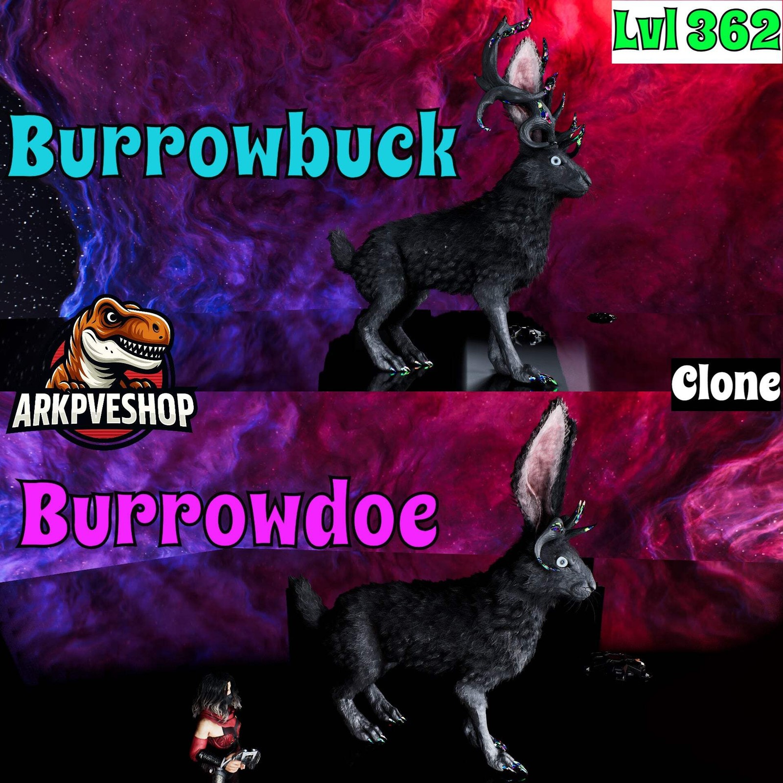 Burrowbuck / Burrowdoe Lvl 362 Clone ASA PVE 🦖ARK Survival Ascended