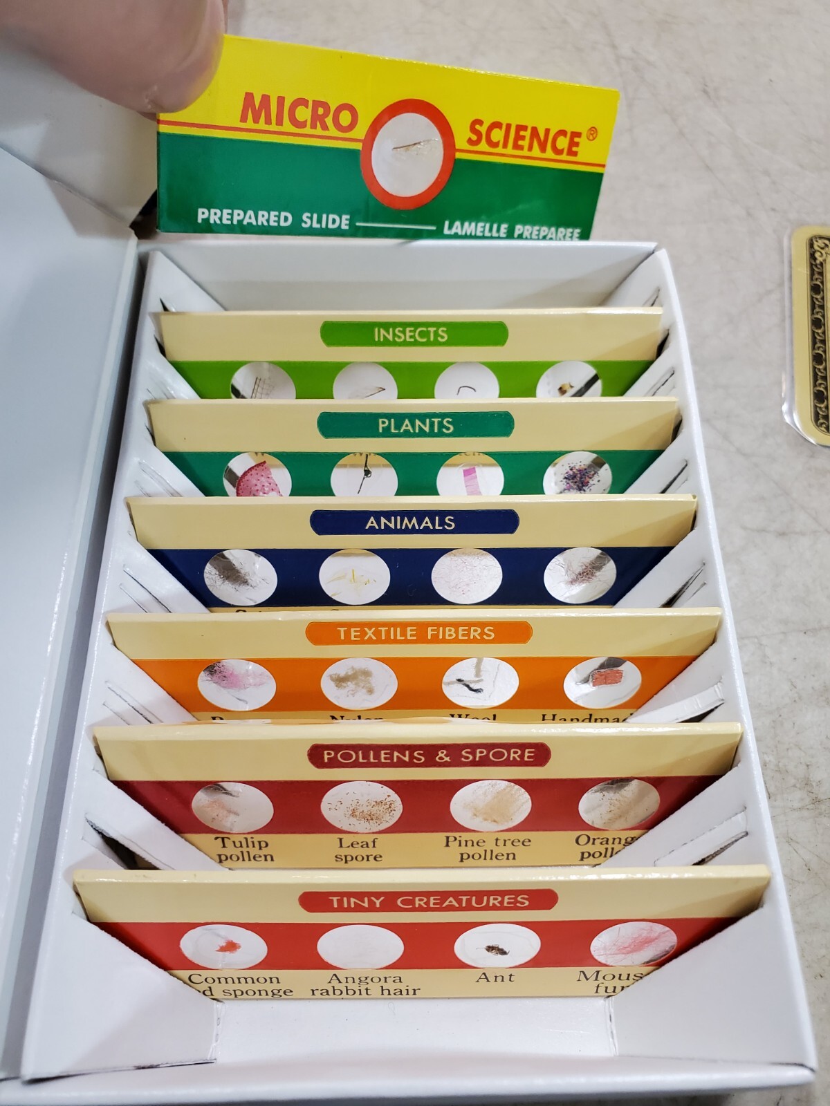 Learning Resources Prepared & Blank Slides, Sets 1 & 2 (LER 2039 2040) Grades 3+