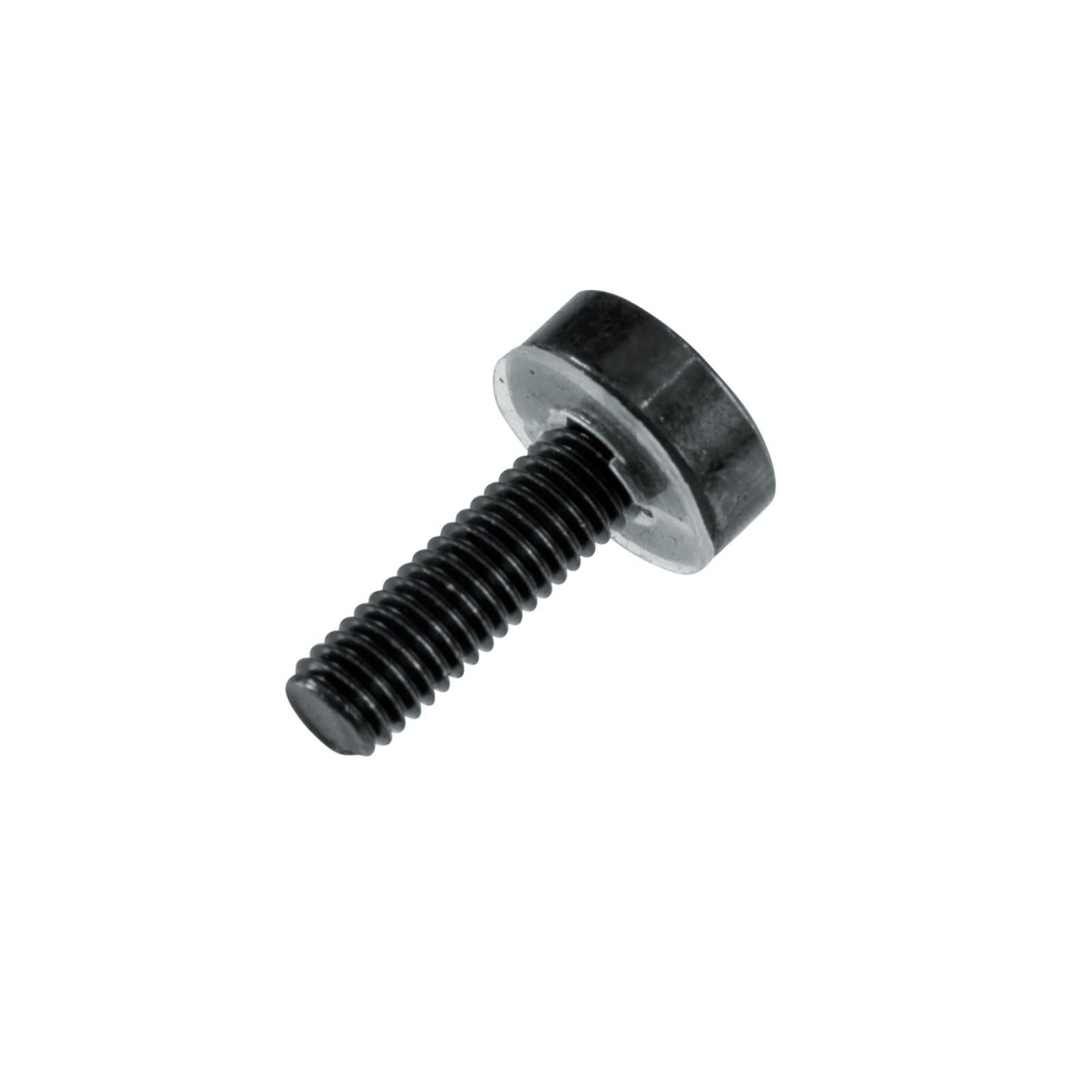 Gator Cases GRW-SCRW025 Hardware Rack Screws (25 pack) 2-Pack