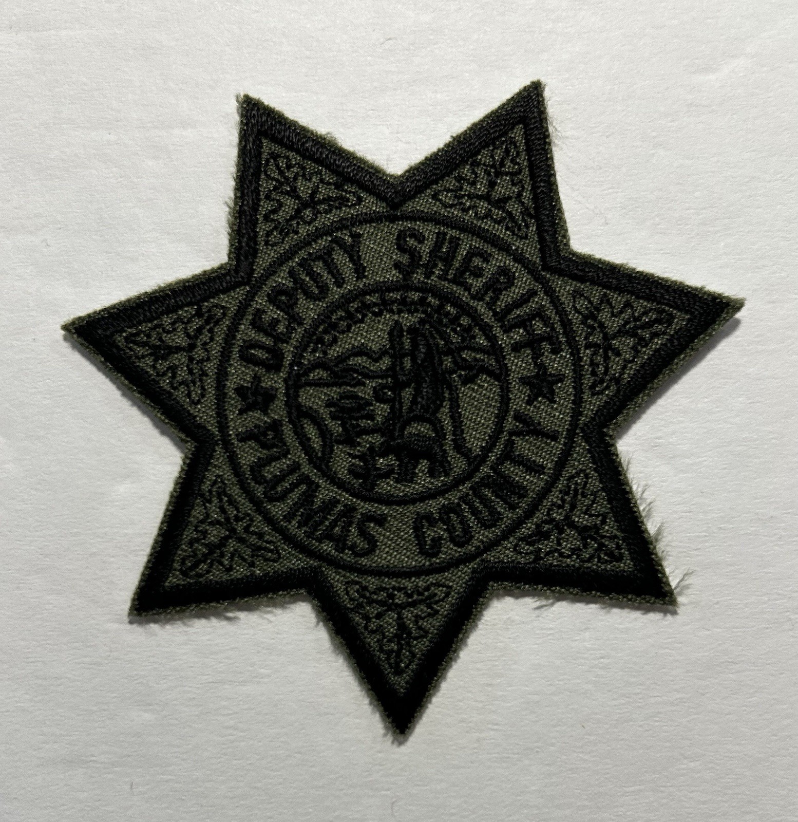 CALIFORNIA CA PLUMAS COUNTY SHERIFFS DEPT SUBDUED SWAT TEAM PATCH #PDD33