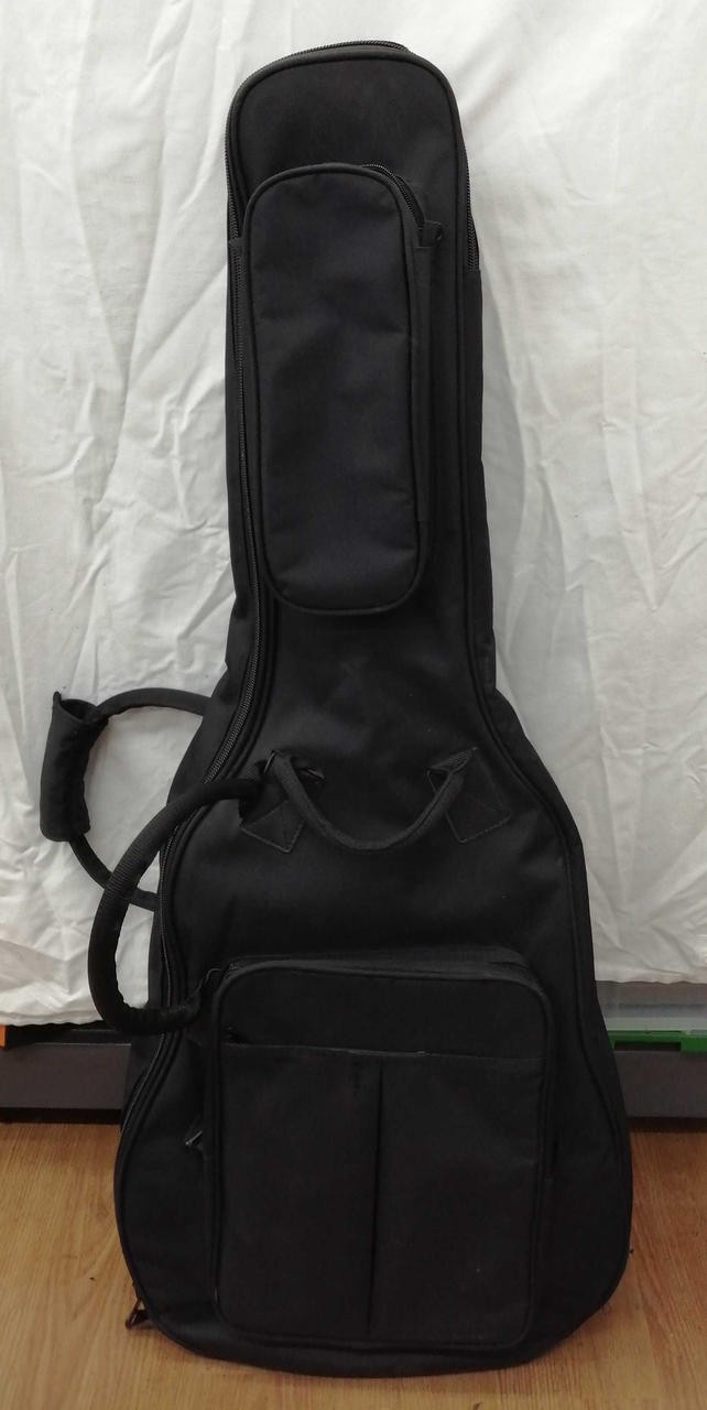 COOLZ ZLS-2 Les Paul type