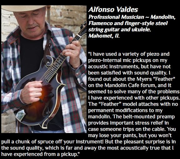 The Feather Flatback Mandolin Pickup by Myers Pickups