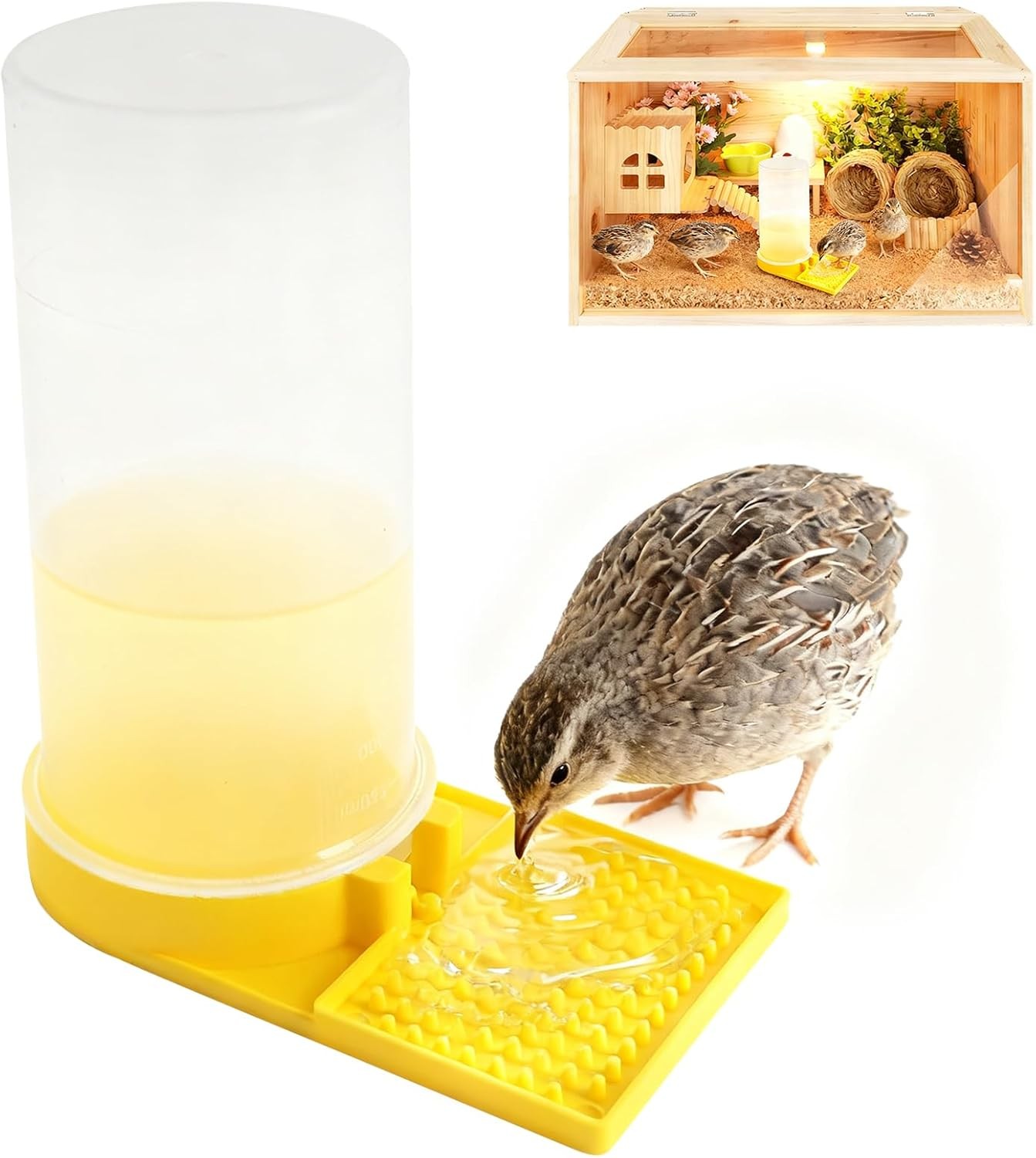 Large Capacity Quail Water Feeder,Button Quail Supplies for Quail Cage Multi-Use