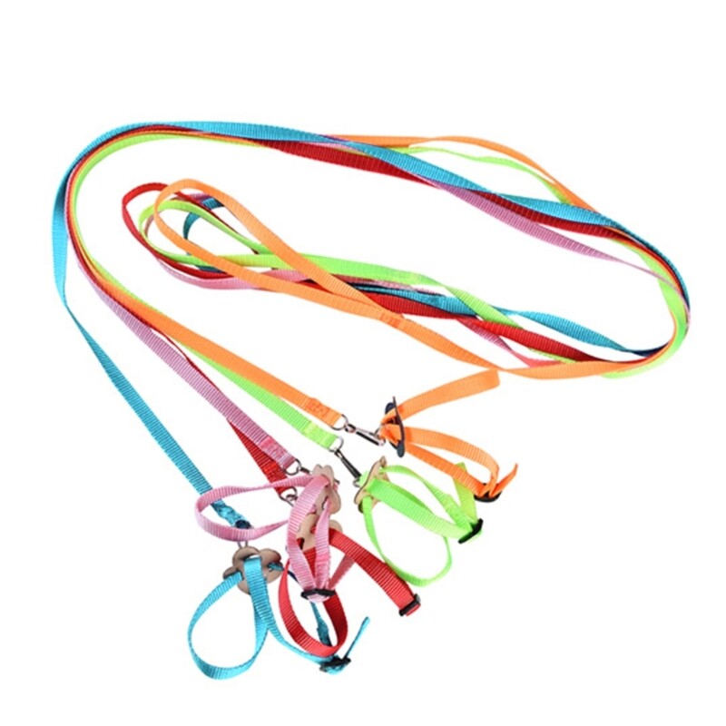 Adjustable Bird Harness 4 ft Long Leash Outdoor Flying Training Rope 8-Shape