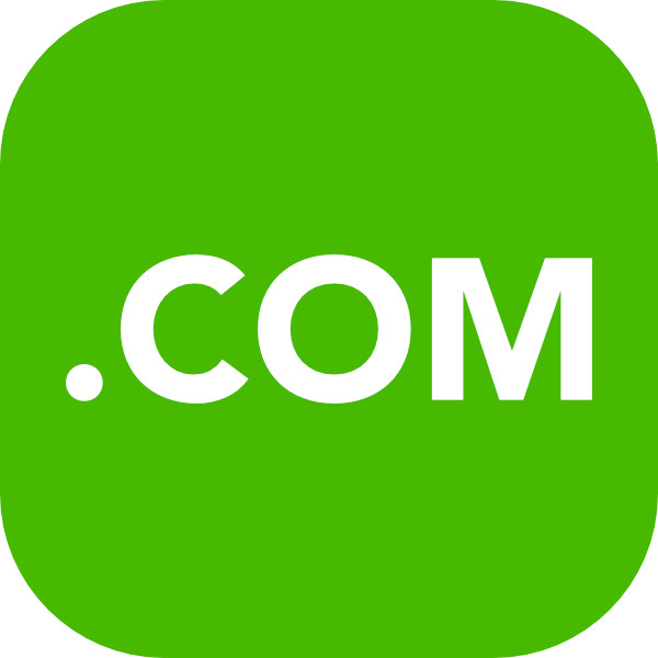 seoanalyst.com  domain name