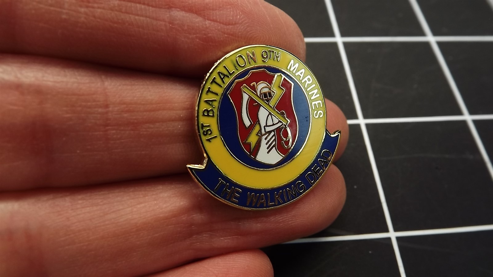 FREE SHIP Lapel Pin USMC 1ST Battalion 9TH Marines The Walking Dead 1"