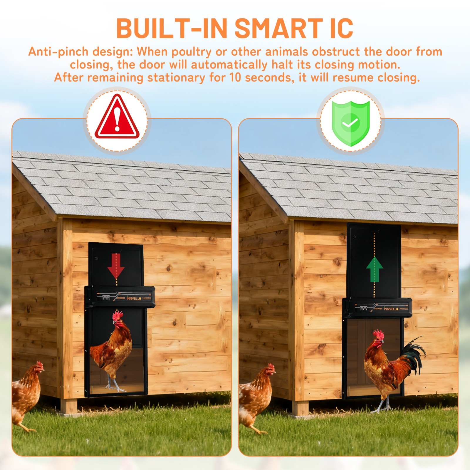 Automatic Chicken Coop Door Solar Powered with Remote Control Setup & LCD Screen