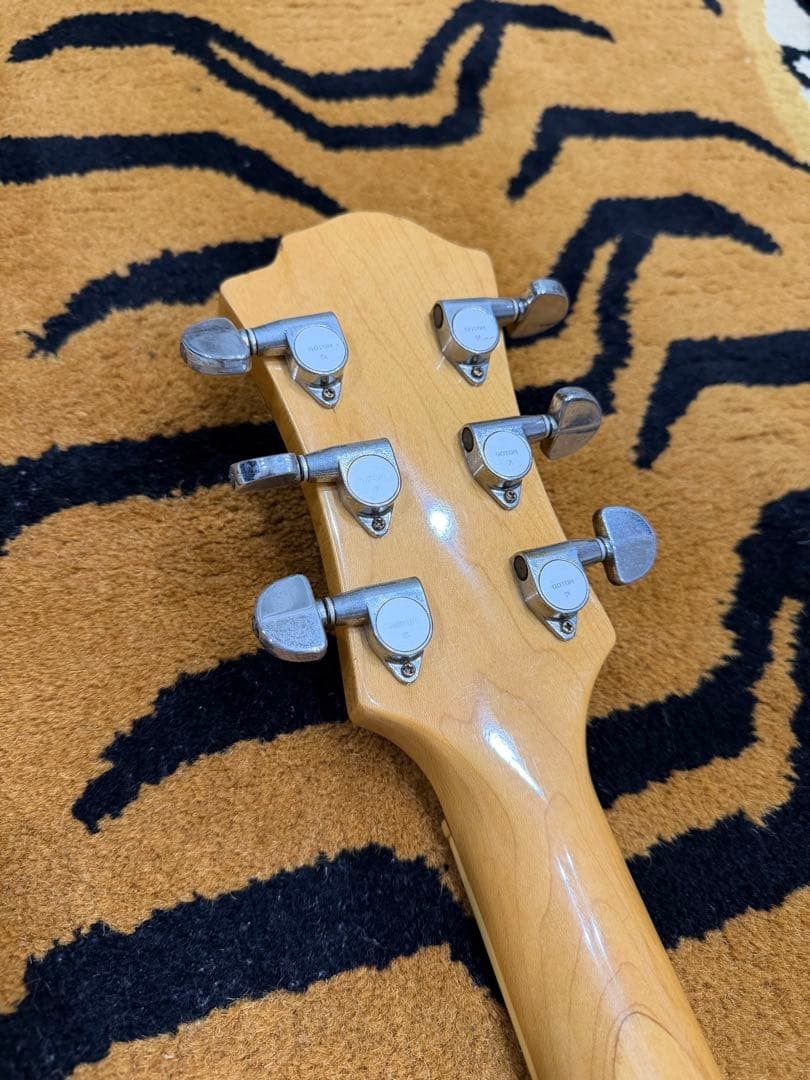 Fernandes Crystal Guitar Hide Model
