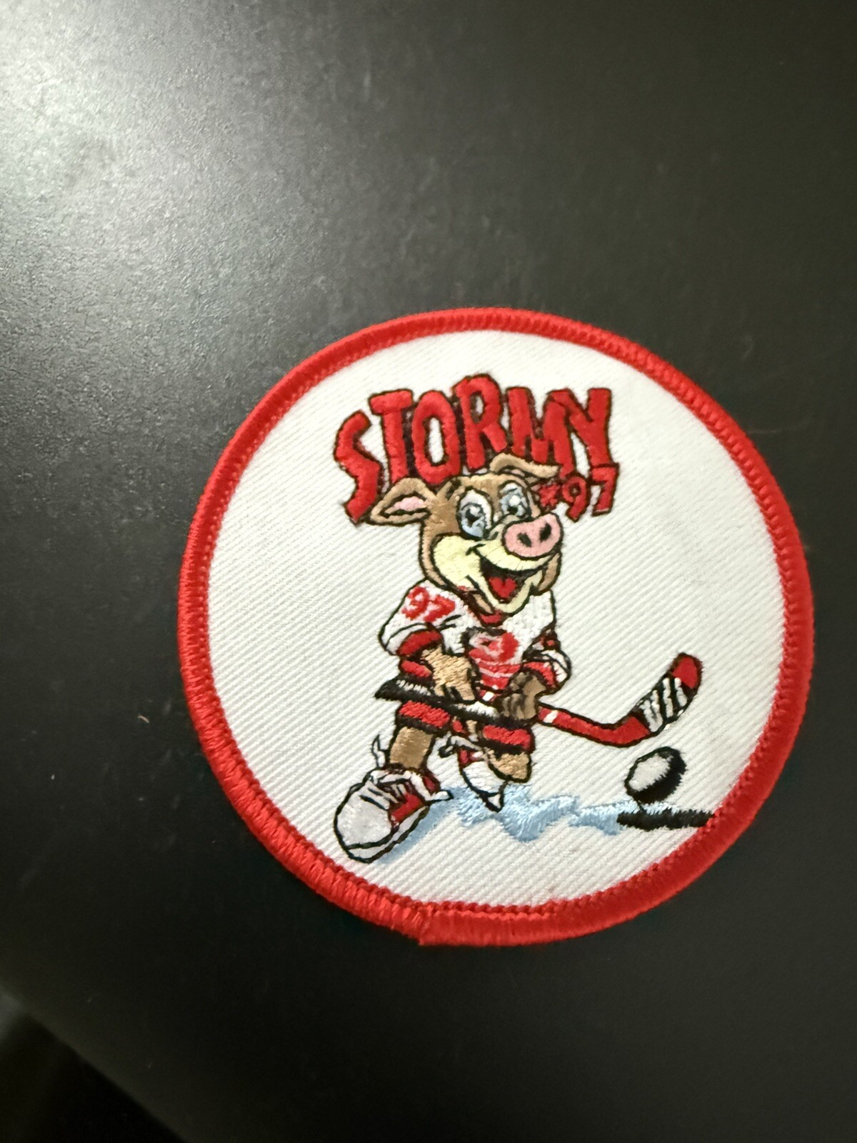 Carolina Hurricanes NHL Stormy 3” Patch New