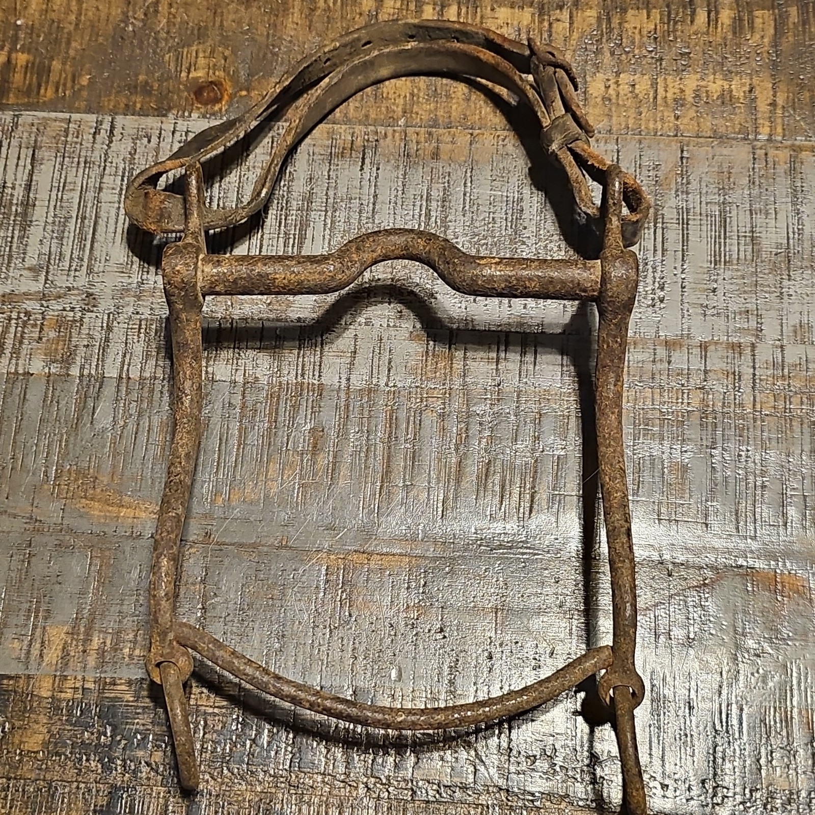 Vintage Western Port Bit Metal Horse Bit Equestrian Tack Collectible