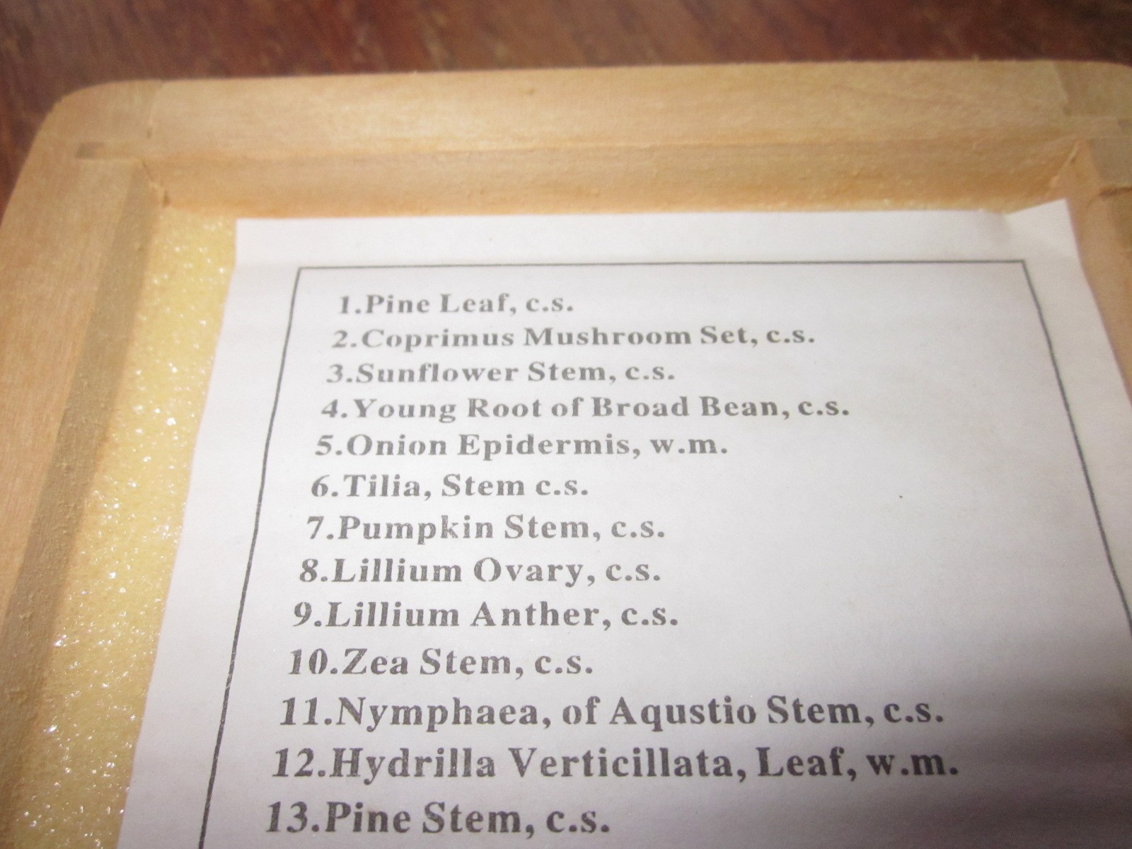 AmScope 25 PREPARED BIOLOGY MICROSCOPE SLIDES w/ Wooden Case