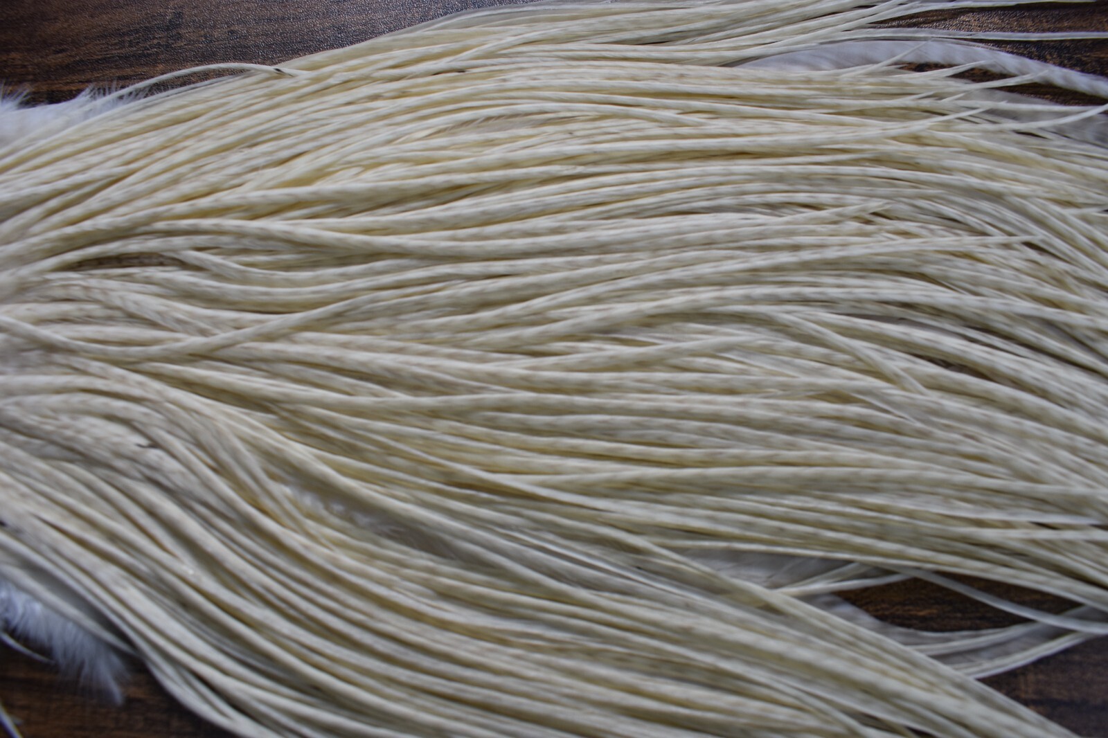 Full or Half Set Sized BARRED CREAM WHITE Dry Fly Rooster Saddle Feathers Tying