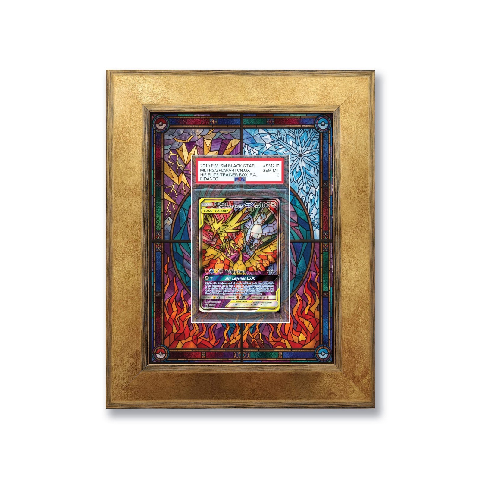 Ridanco SM210 Promo Zapdos, Articuno, Moltres Extended Art Printed Slab Frame