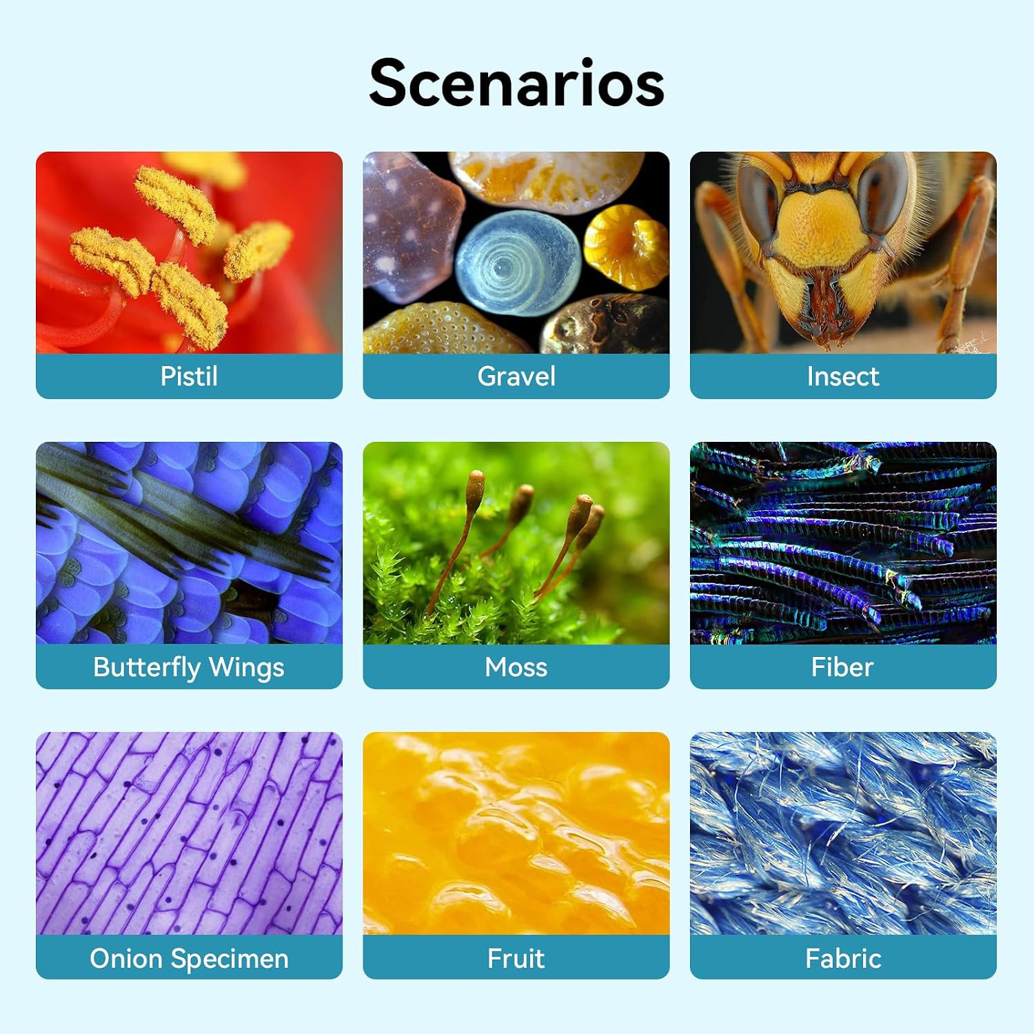 800X Handheld Digital Microscope with 2” IPS Screen, Photo & Video Portable M...
