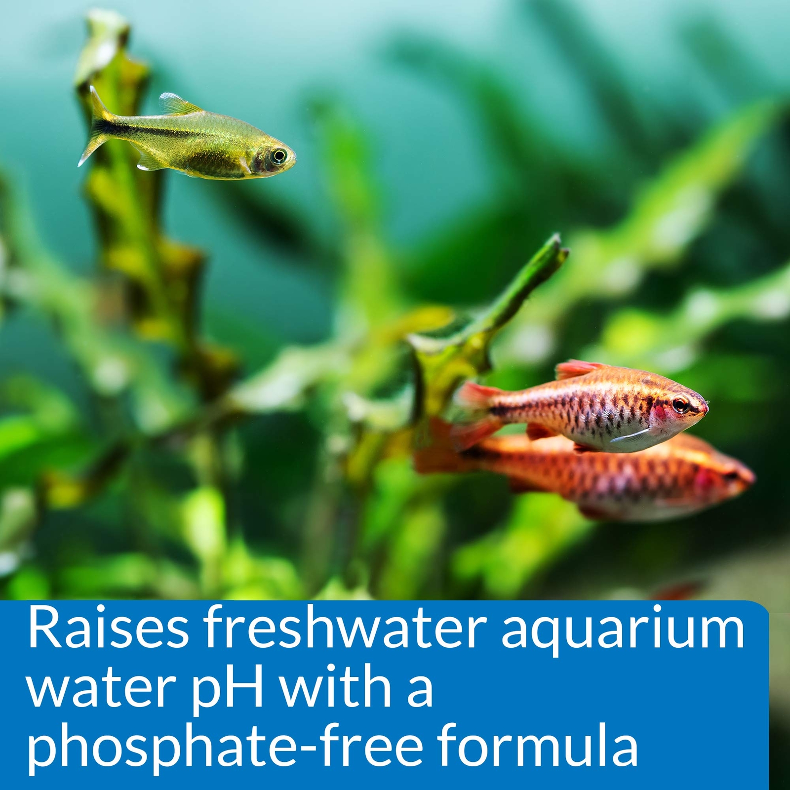 pH UP Freshwater Aquarium pH Raising Solution 4 oz