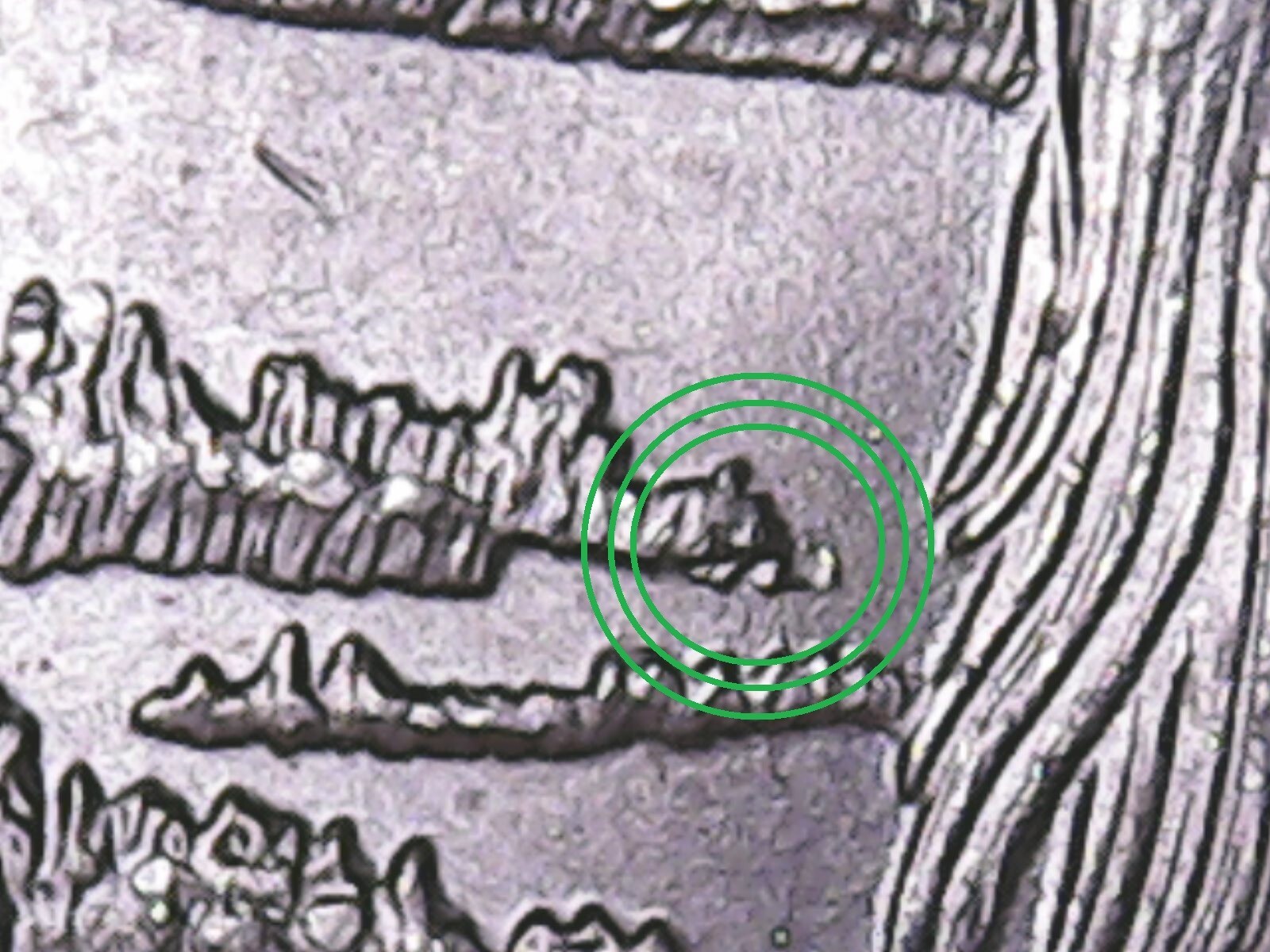 2015 P Bombay Hook ATB Quarter WDDR-027 Doubled Die Reverse Mint Error.