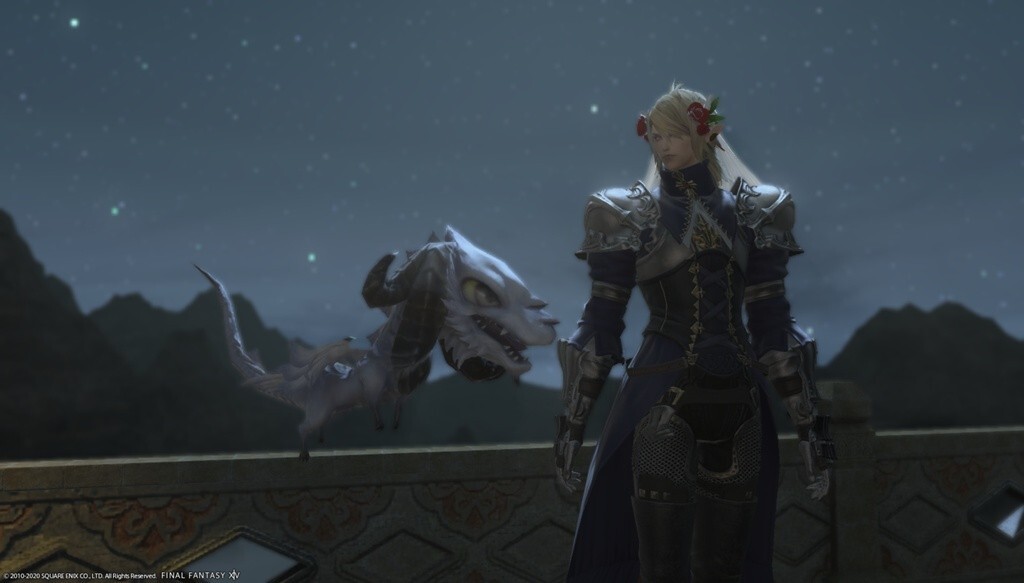 FINAL FANTASY XIV "Minion Hraesvelgr" Serial Code FF14
