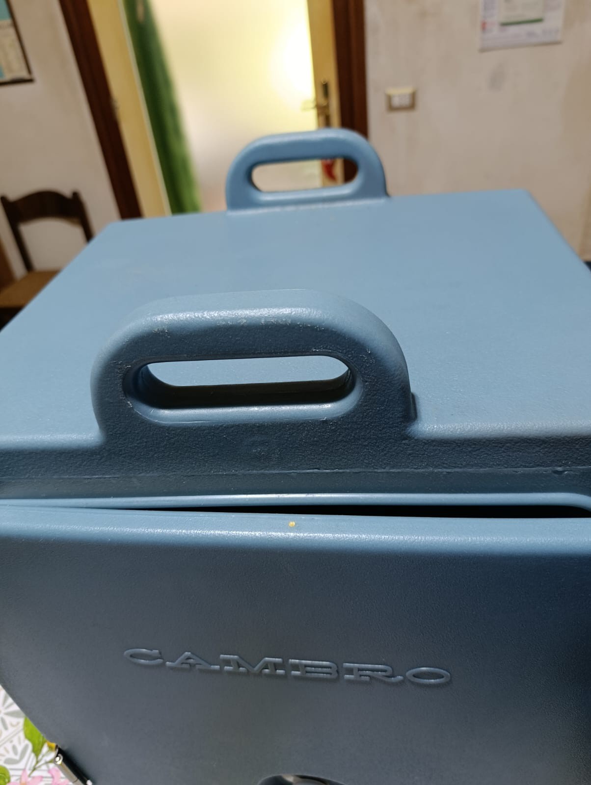 Cambro Isothermal Container