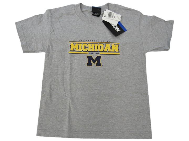 NEW Michigan Wolverines KIDS YOUTH Sizes XS-S (2/4-6/8) Gray Shirt
