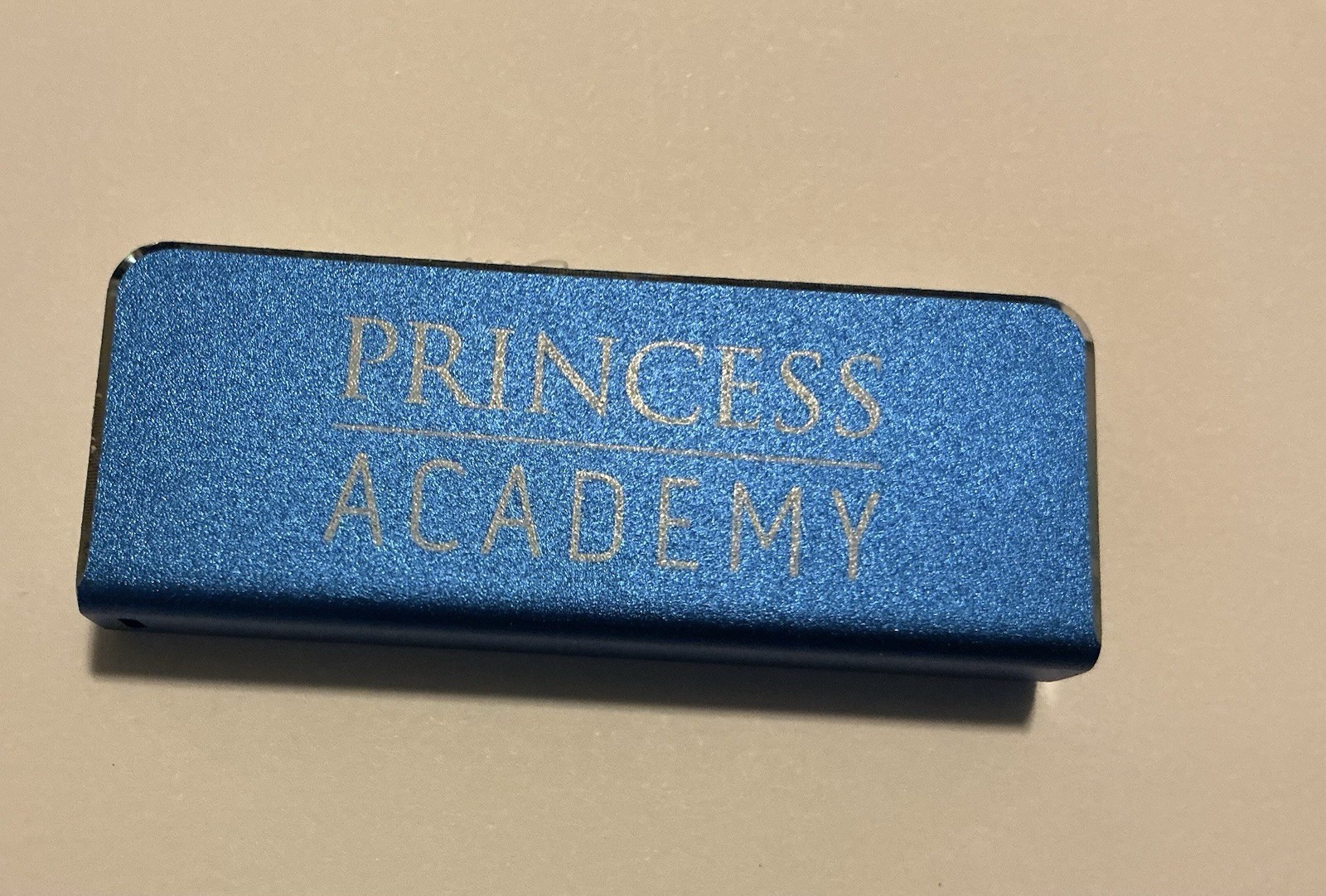 Princess Academy Cruise Line 2 GB USB Memory Stick / Flash Drive - Data Storage