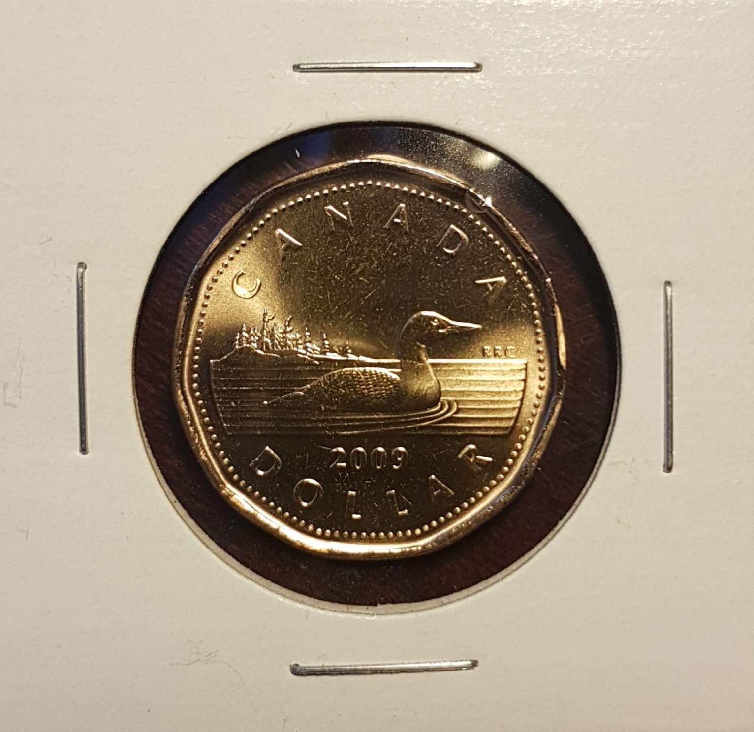 2009 Canada $1  Dollar Loonie - Uncirculated Mint State - 1x UNC Coin from Roll
