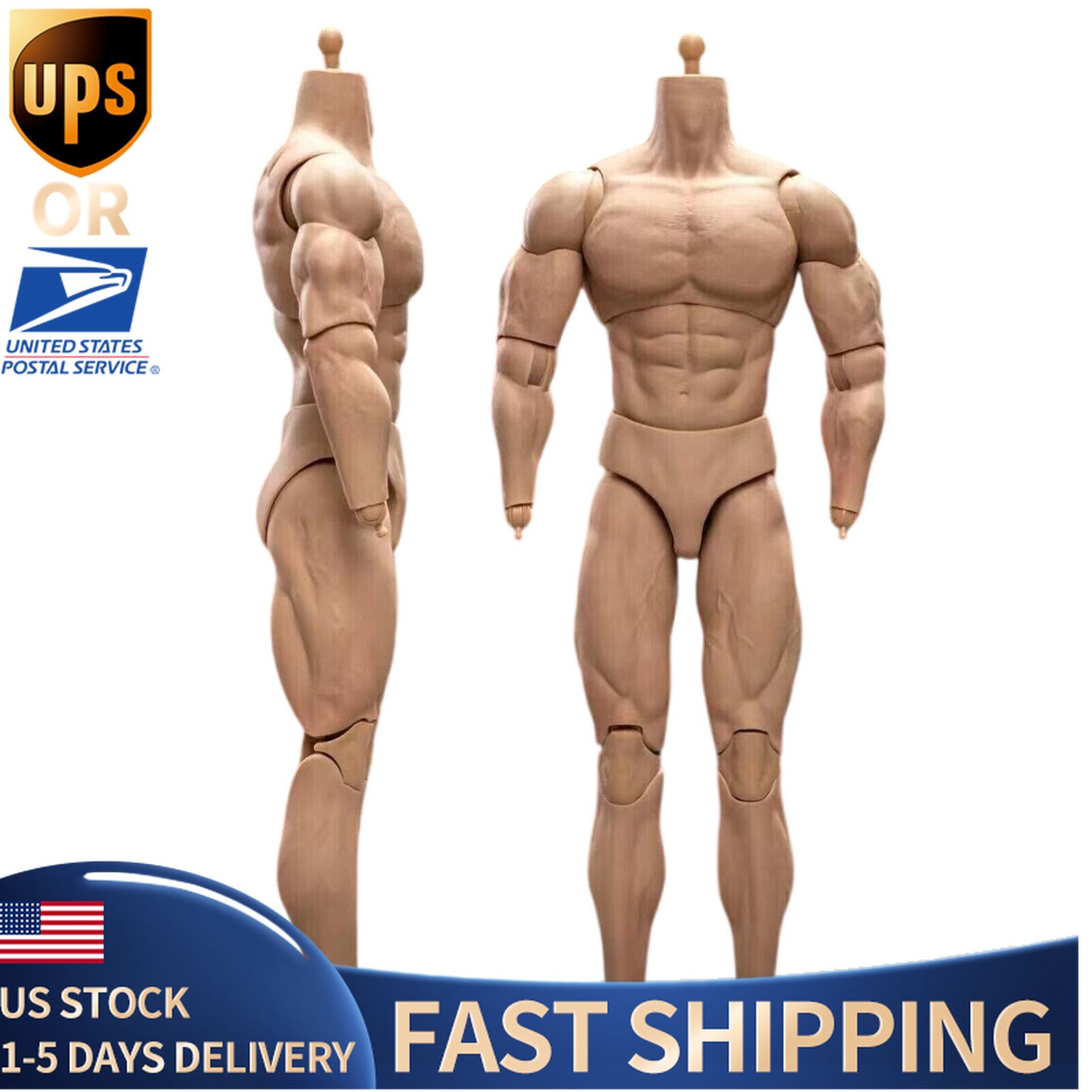 1/6Scale BD003 Muscular Male Action Figure Body for 12"Hot Toy Soldier Heads NeE