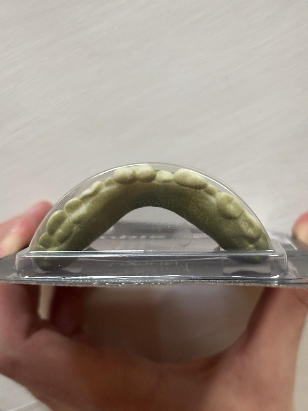 Halloween Zombie Teeth Costume Accessory Brand New