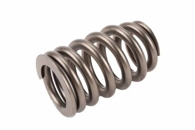 Genuine GM Valve Springs 12713265