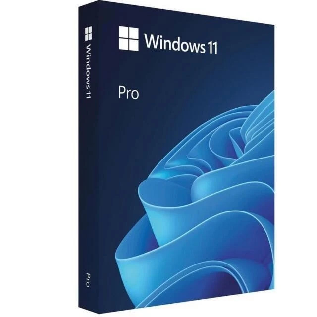 Microsoft Windows 11 Pro 64-Bit USB Flash Drive (HAV-00162)
