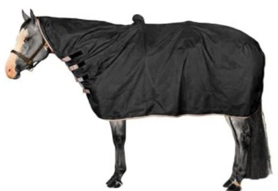 Horse Show Rain Cover Sheet