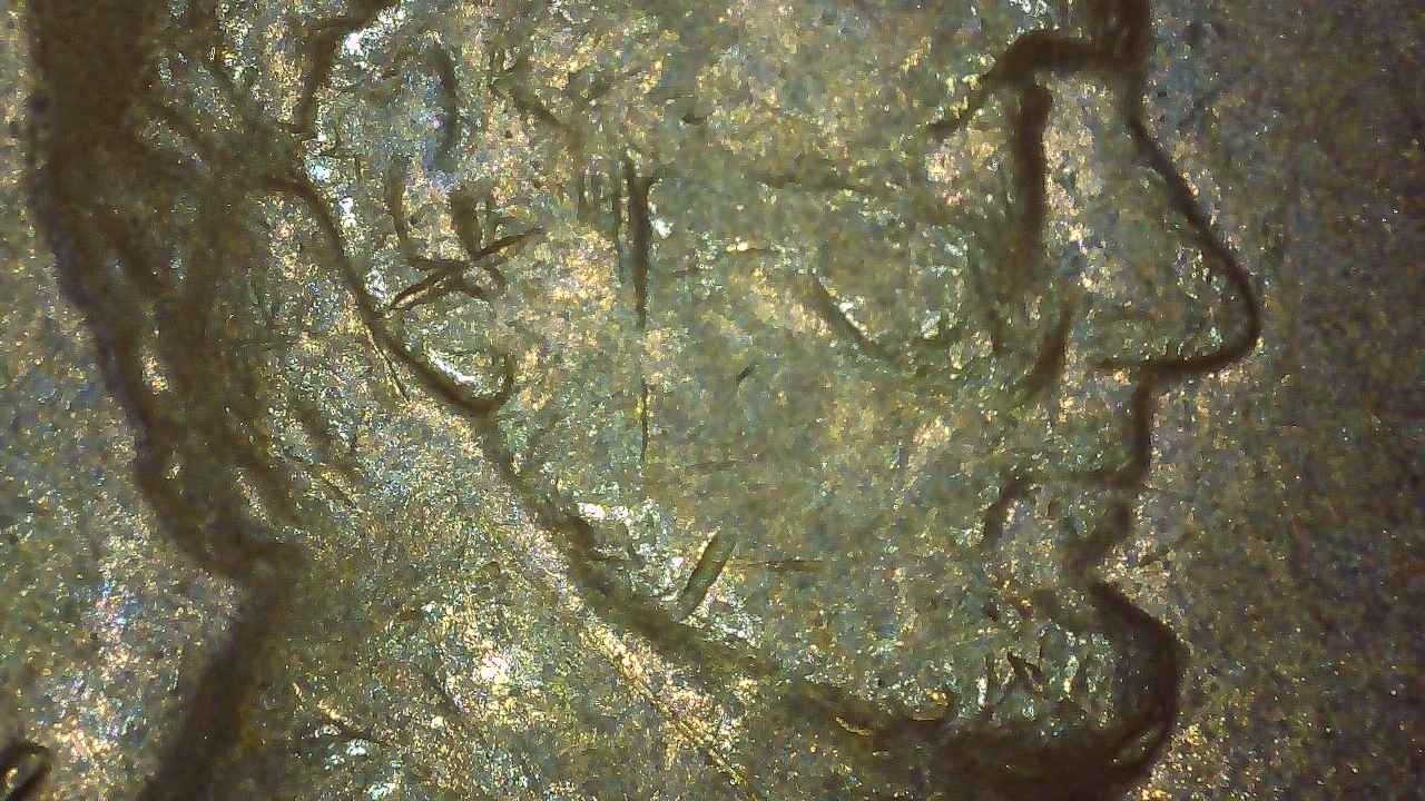 1978 D Lincoln Penny error filled mintmark