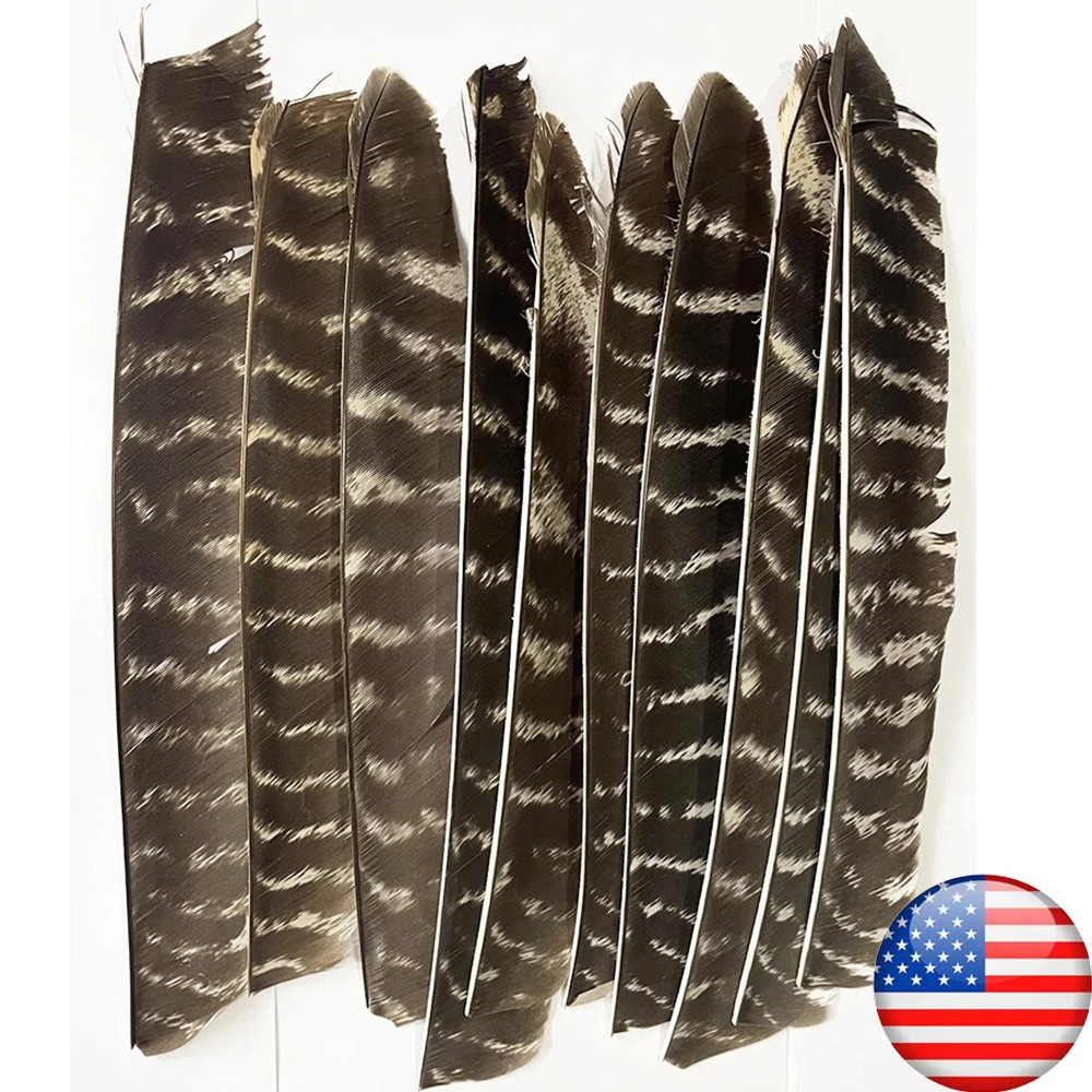 50X Full Length Arrow Feathers Turkey Fletches Fletching RW LW Archery Shaft DIY