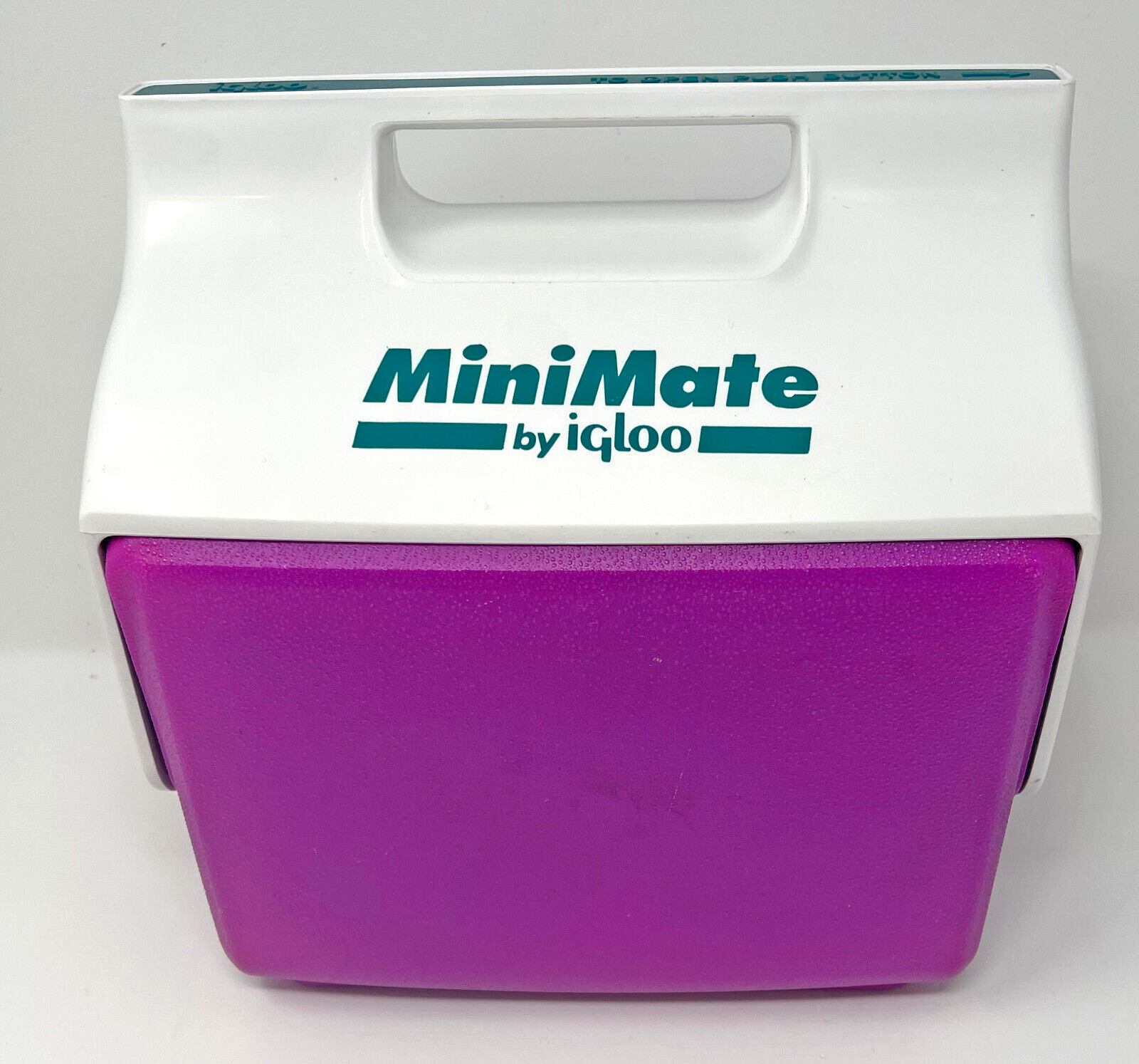 Vintage 1993 Igloo Minimate Cooler Purple Green Made in USA Used