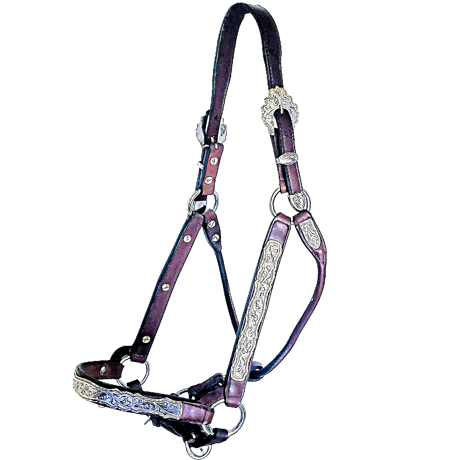 Dale Chavez Silver and Jewelers Bronze Show Halter Full Horse Size