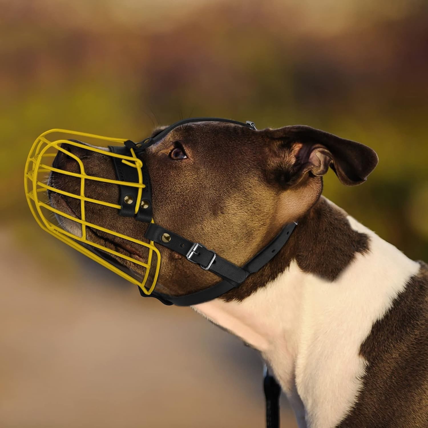 Pitbull Dog Muzzle Metal Mask Amstaff Secure Wire Basket Adjustable Durable Leat