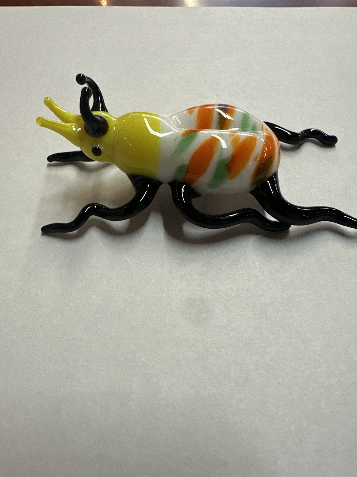 Glass Insect, Bug