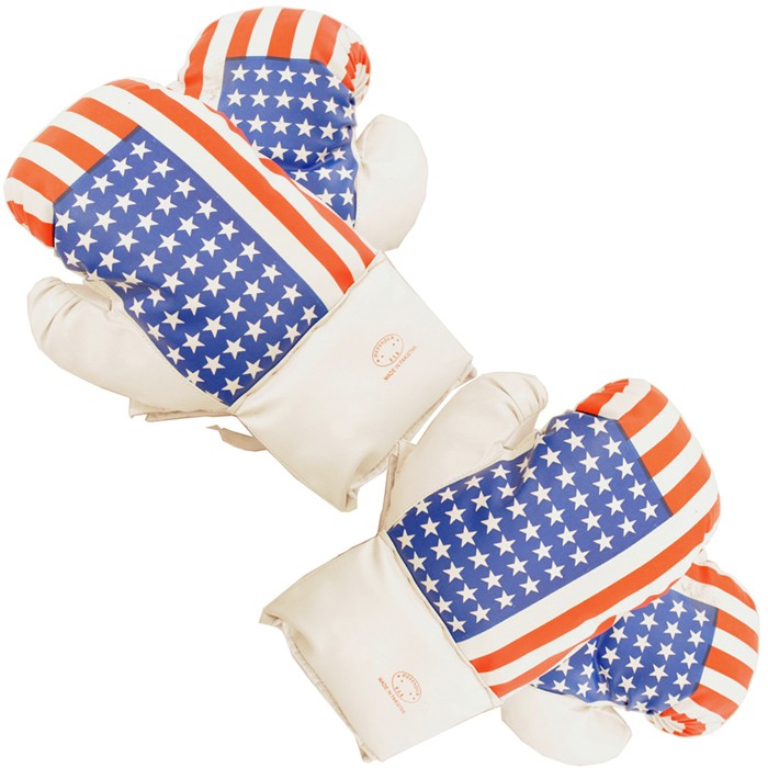 2 Pairs USA Flag 16oz Boxing Gloves Vinyl Leather Training Practice Set