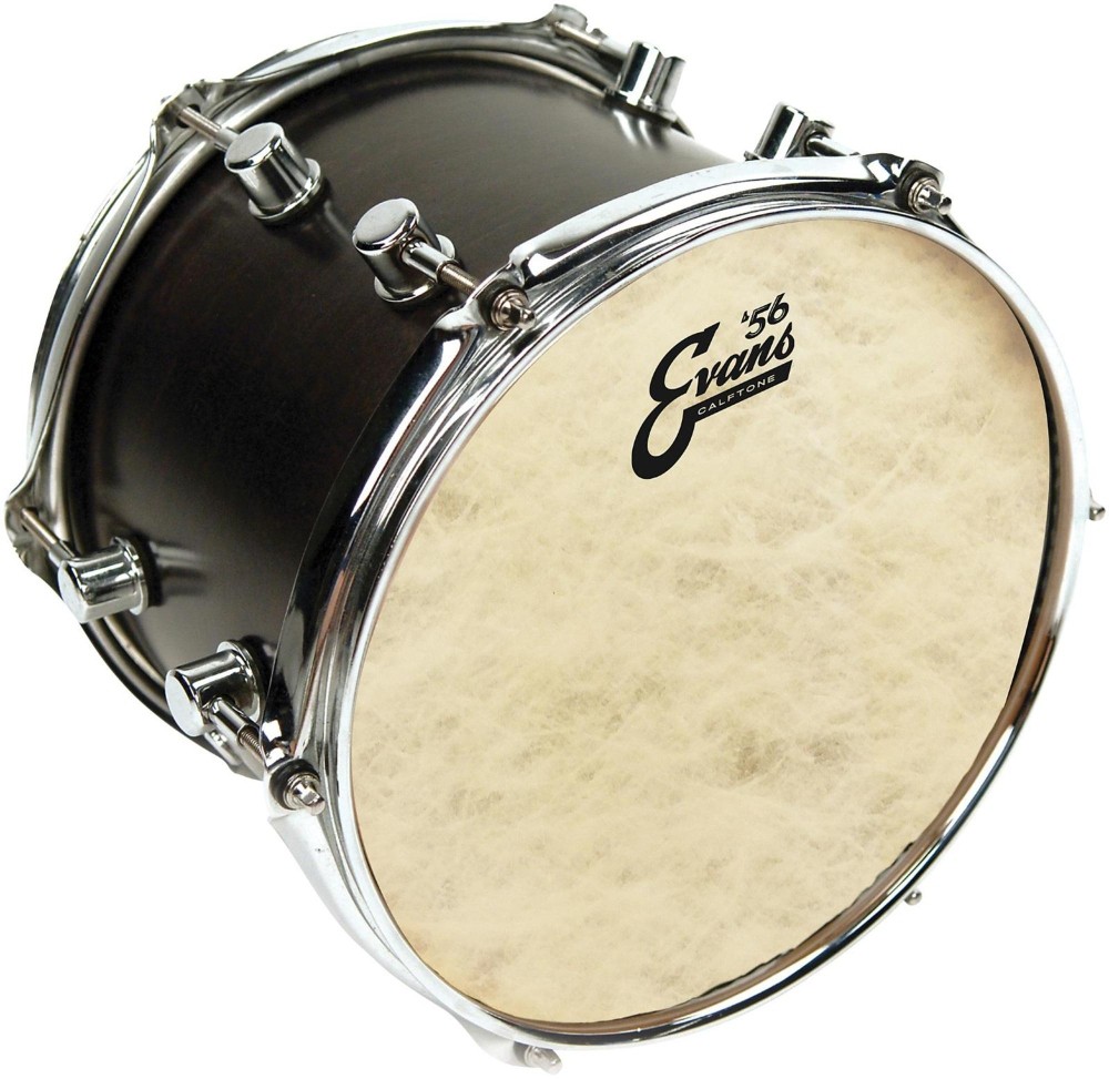 Evans Calftone Drumhead 18 in.