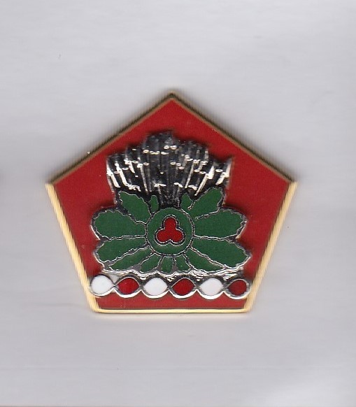US Army 371st Support Group Quartermaster QM Supply crest DUI badge NSM