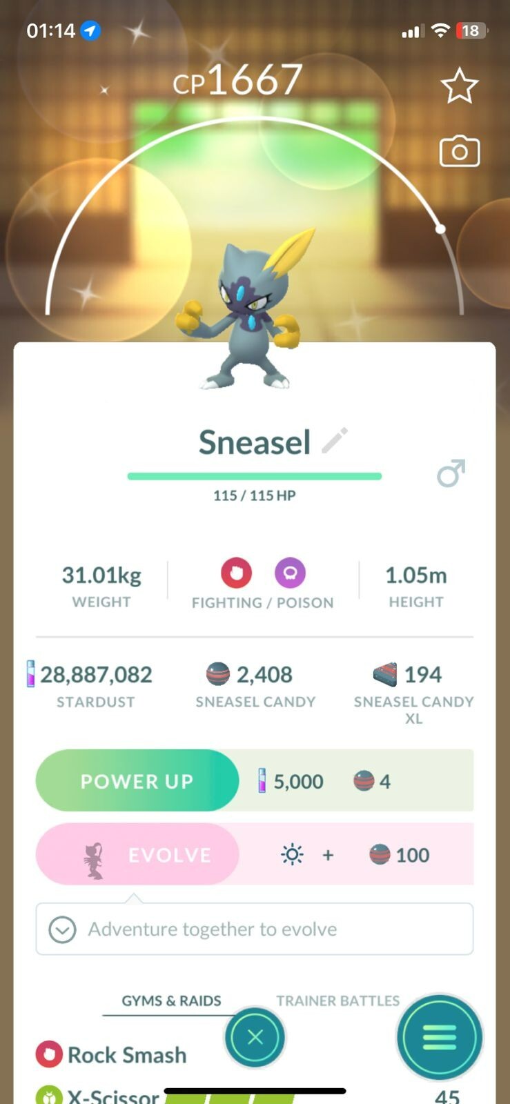 SHINY ✨ HISUIAN SNEASEL!!! ✨ - PKMN GO!!! - NON REGISTERED!