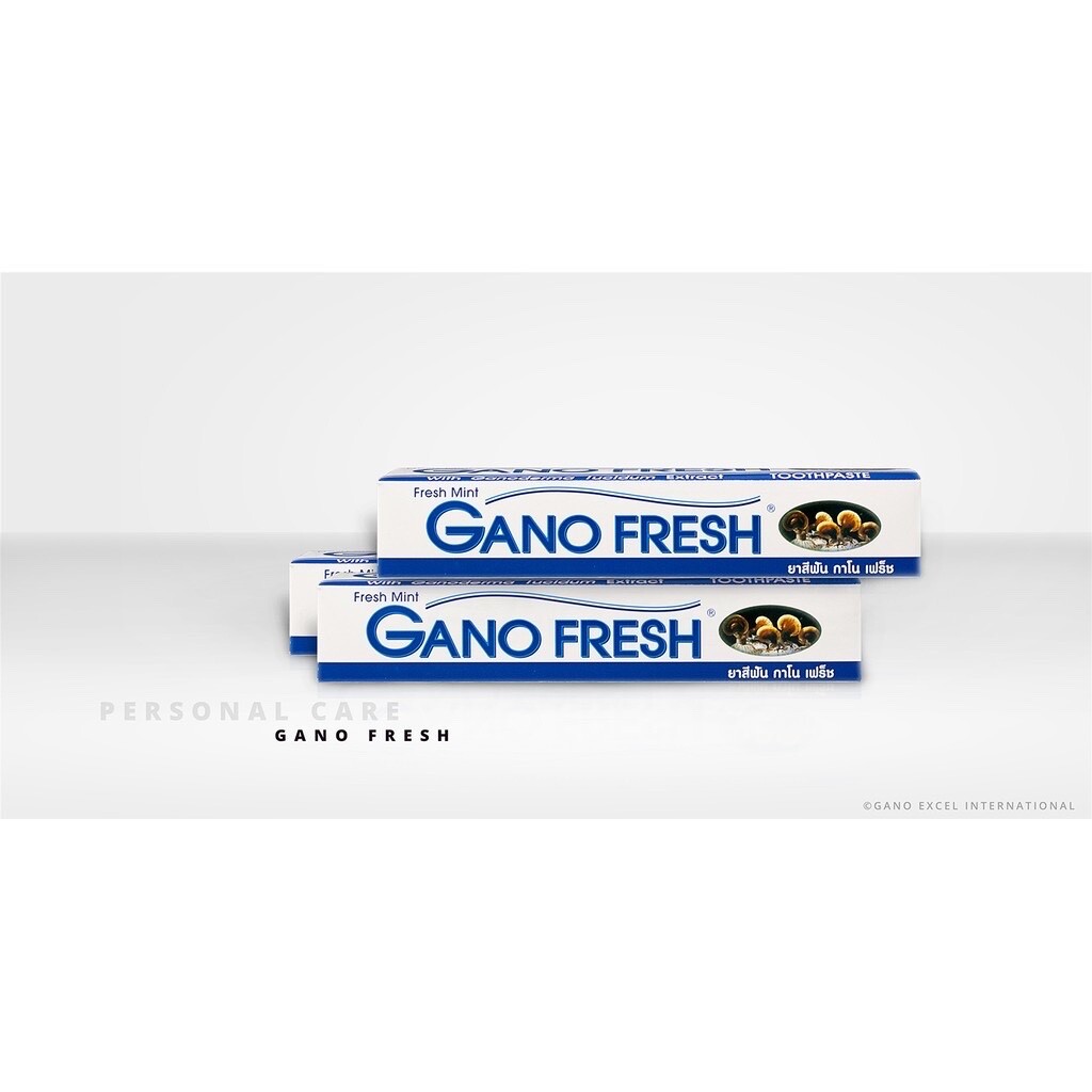 2 Boxes x 150g GANO EXCEL GANO FRESH TOOTHPASTE GANODERMA Free Shipping