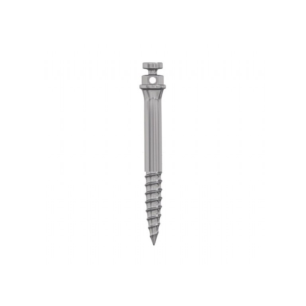 Dental Titanium Orthodontic B0ne Mini Screw Zygomatic TAD IZC L17mm Ø2mm