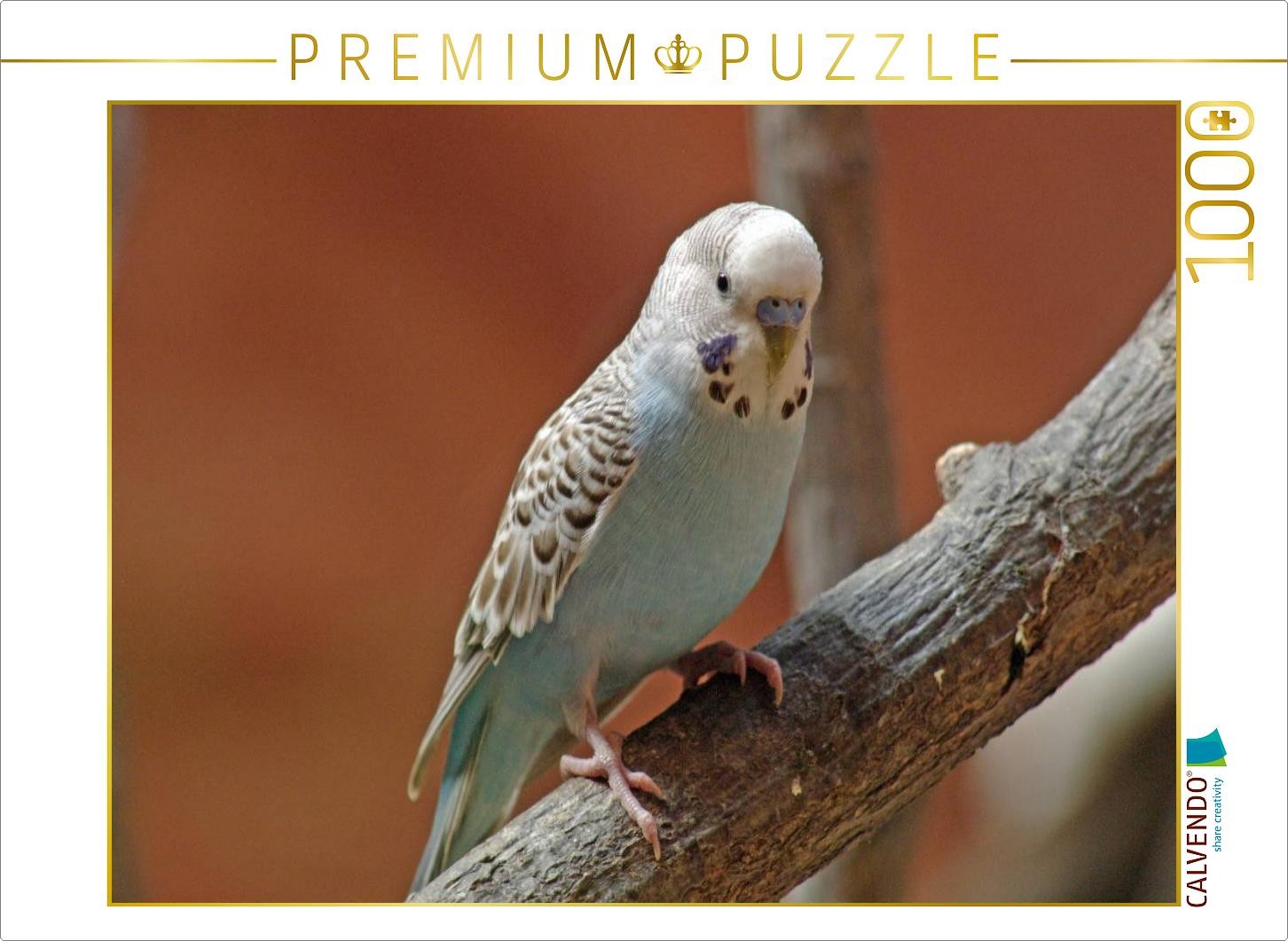 CALVENDO Puzzle Blauer Wellensittich | 1000 Teile Lege-Größe 64x48cm Foto-Puzzle