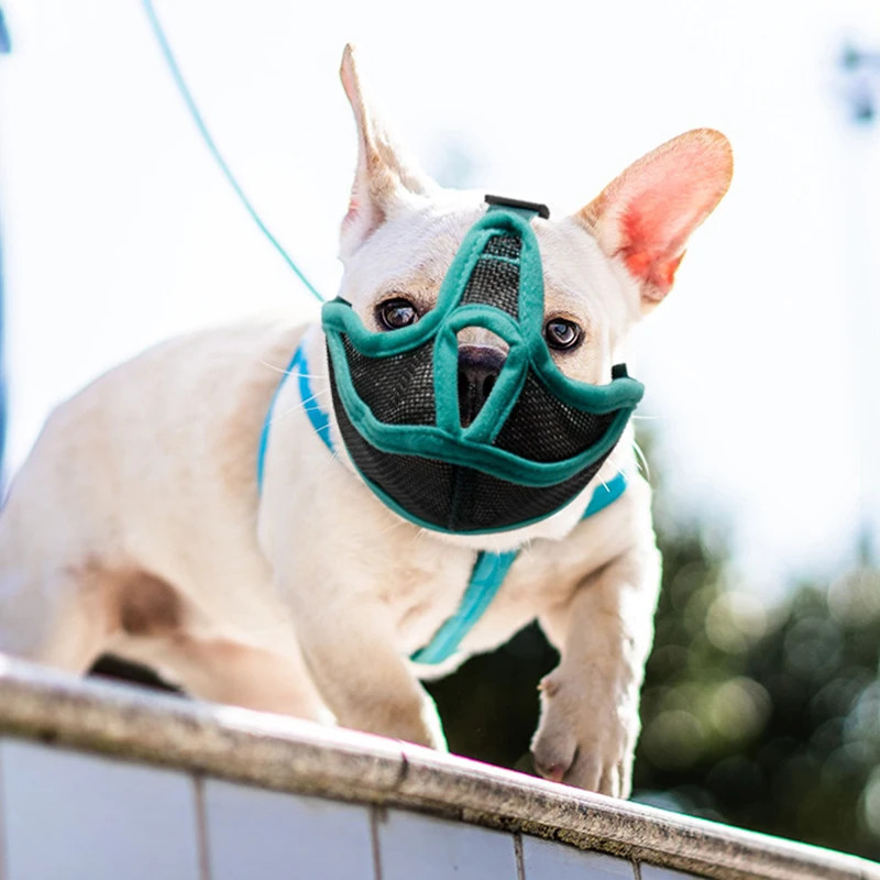 Short Snout Pet Dog Adjustable Breathable Mesh French Bulldog Pug Mouth Mask Ant