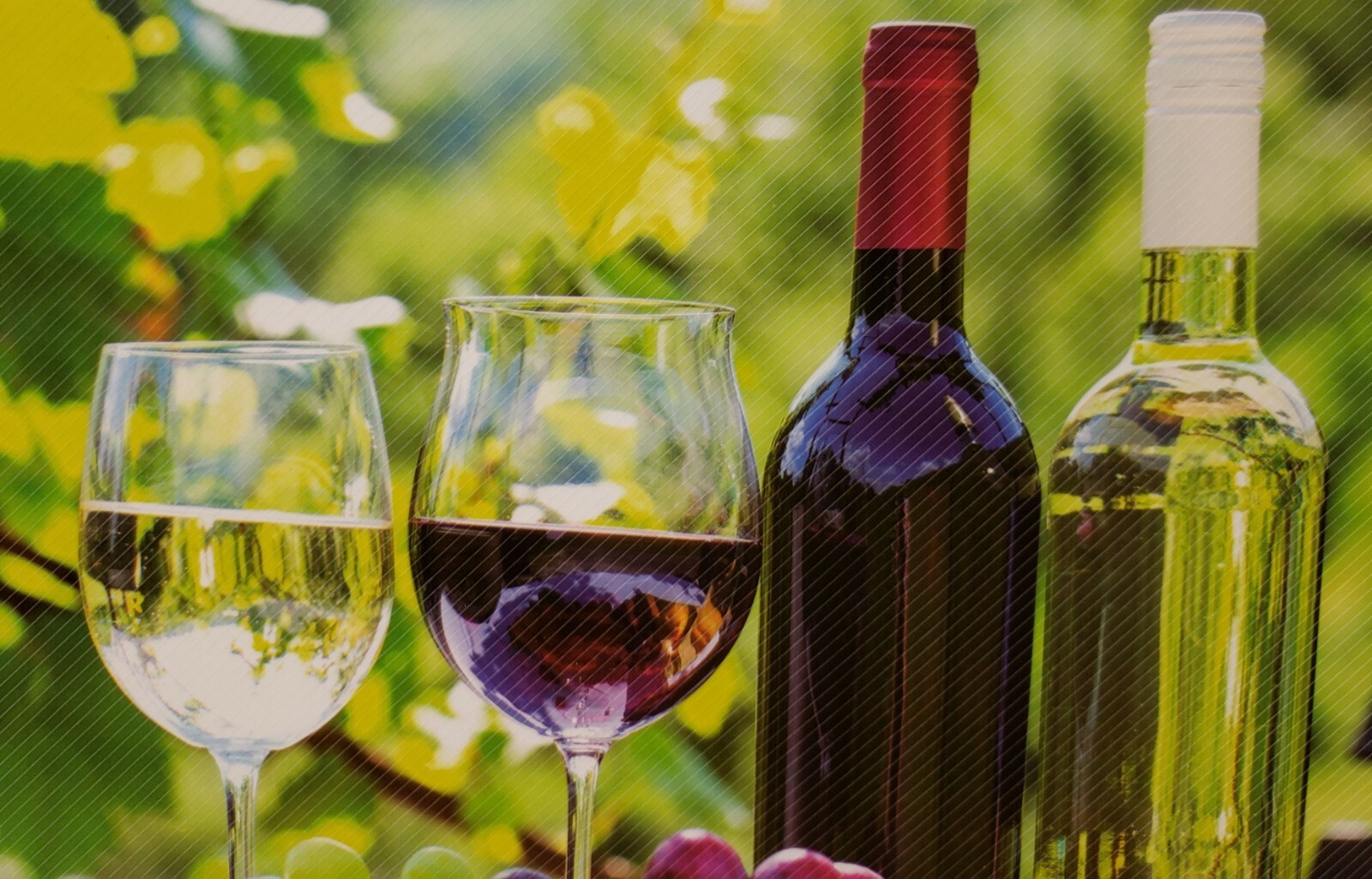 12 pc 3D Thin Plastic Set: 6 PLACEMATS & 6 COASTERS, WINE & GRAPES, Mirtex
